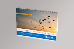 Delta Elettronica - Calendario 2009 - Glocos Agenzia di Comunicazione Bari